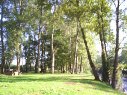 Parque municipal