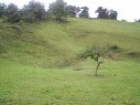 dolina