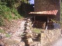 otoño-recogida de leña